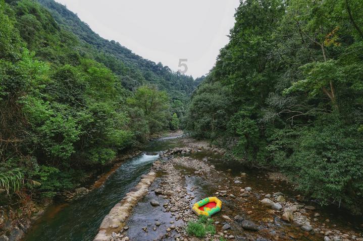 月光影视